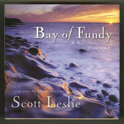 Bay of Fundy: A Natural Portrait | Text and Photographs by Scott Leslie