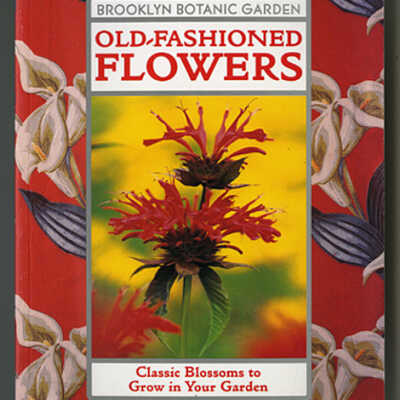 Old-Fashioned Flowers: Classic Blossoms to Grow in Your Garden | Tovah Martin-Guest, Editor