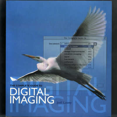 The Complete Guide to Digital Imaging | Joel Lacey