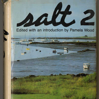 Salt 2: Boatbuilding Sailmaking, Island People, River Driving, Bean Hole Beans, Wooden Paddles, and More Yankee Doings | Edited with an Introduction by Pamela Wood