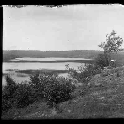 Grand Manan - 49 | Original ID: IV 38, "Fresh Pond"