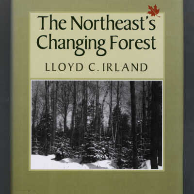 The Northeast's Changing Forest | Lloyd C. Island