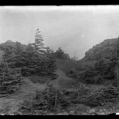 Grand Manan - 56 | Original ID: IV 3, "Path beyond Swallow-tail"