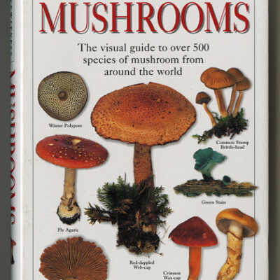 Mushrooms | Eyewitness Handbooks | Thomas Laessoe