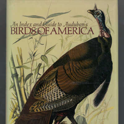 An Index and Guide to Audubon's Birds of America | Susanne M. Low