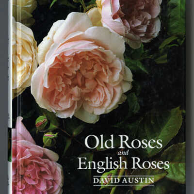 Old Roses and English Roses | David Austin