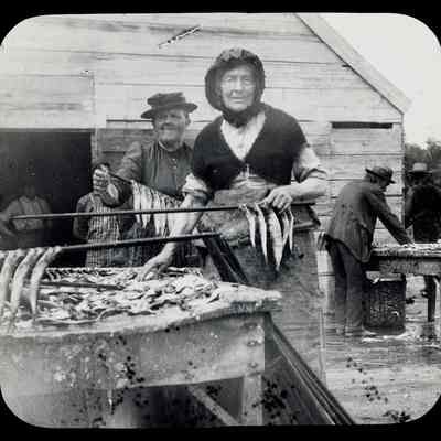 Stringing Herring | Machias, Maine Wharf | Glass Magic Lantern Slide | R. Clinton Fuller | 1895
