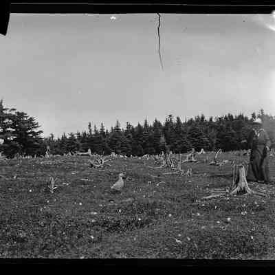 Grand Manan - 35 | Original ID: