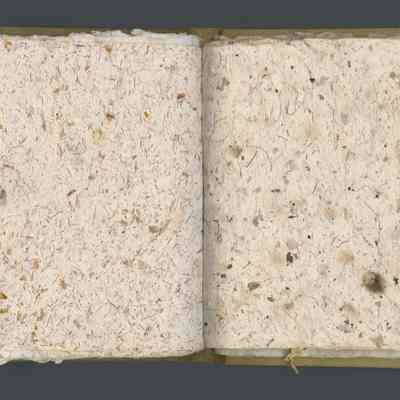 Baychar 15 | Charlotte "Baychar" Morris (1949-2024) | Sample Book of Handmade Papers