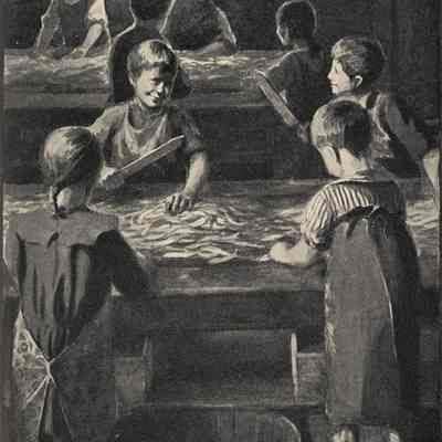The Cutters Begin Life Young | Illustration from A Case of Sardines by Charles Poole Cleaves | 1904