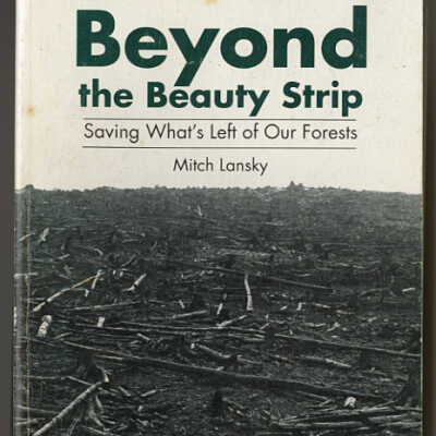 Beyond the Beauty Strip: Saving What's Left of Our Forests | Mitch Lansky