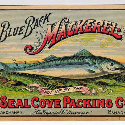 Polar Brand, Blue Back Mackerel, Seal Cove Packing Company, Grand Manan, Canada