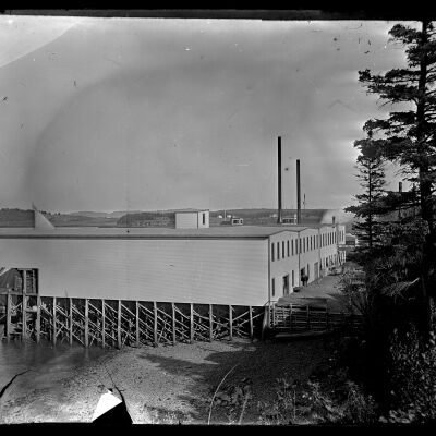 Lubec Glass Plate Negative 25