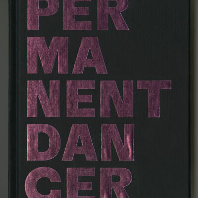 Permanent Danger: Anna Torma