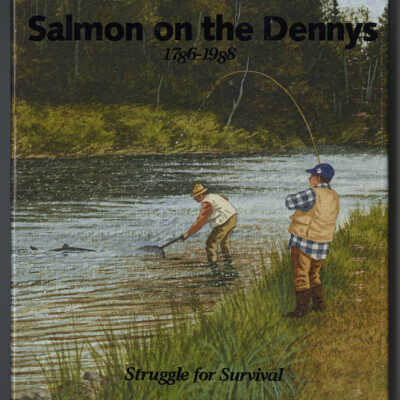 The Story of a River, Salmon on the Dennys, 1786-1988: Struggle for Survival | Ed Bartlett and Ray Robinson
