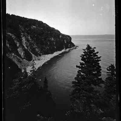Grand Manan - 54 | Original ID: IV 53, "Ashburton Head - tree - wide"