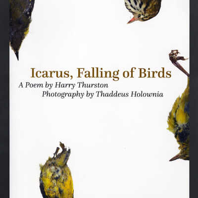 Icarus, Falling of Birds: A Poem by Harry Thurston, Photography by Thaddeus Holownia