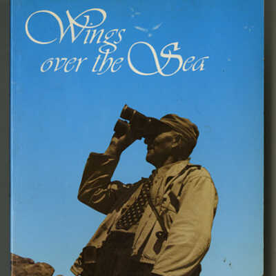 Wings over the Sea: The Story of Allan Moses | L.K. Ingersoll