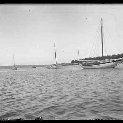 Grand Manan - 26 | Original ID: IV 17, "Herring boats off Long Island"