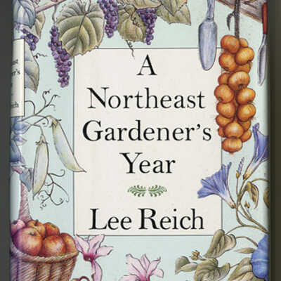 A Northeast Gardener's Year | Lee Reich
