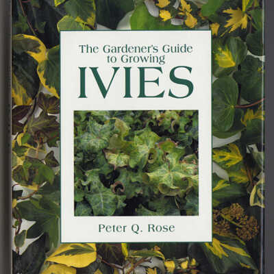 The Gardener's Guide to Growing Ivies | Peter Q. Rose