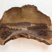 Carved Passamaquoddy Bay Conk Fungi | Arthur E Harris, Crawfords, 1890