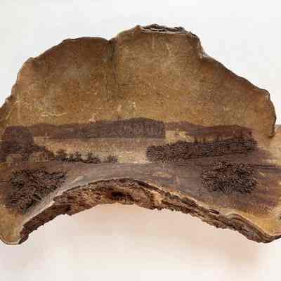 Carved Passamaquoddy Bay Conk Fungi | Arthur E Harris, Crawfords, 1890