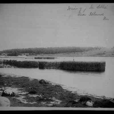 Weir of Mr. Ellis', Deer Island, Maine