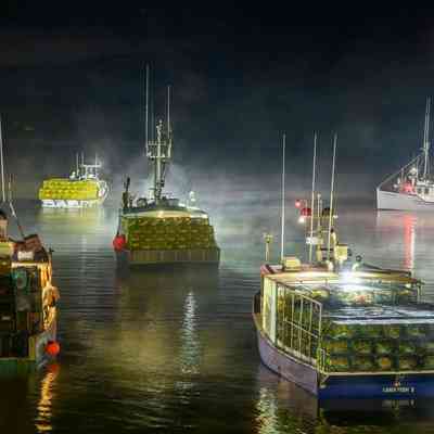 Susan Lapides | Setting Day | Back Bay, New Brunswick