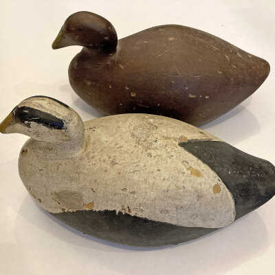 Eider Duck Decoys | Lubec, Maine