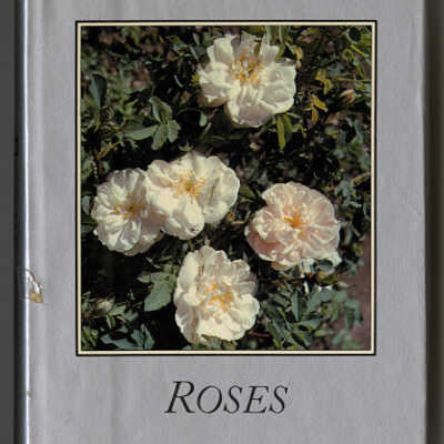 Roses | Gertrude Jekyll and Edward Mawley