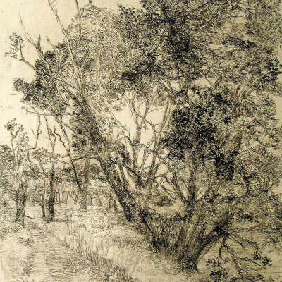 Poplar Level | Sharon Yates
