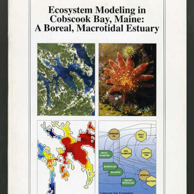 Ecosystem Modeling in Cobscook Bay, Maine: A Boreal, Macrotidal Estuary | Northeastern Naturalist, Volume 11, Special Issue 2, 2004 | Edited by Peter Foster Larsen