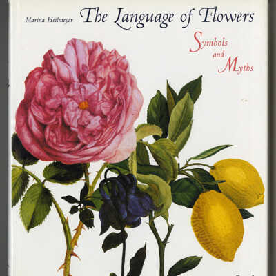 The Language of Flowers: Symbols and Myths | Marina Heilmeyer