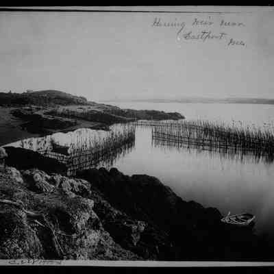 Herring Weir near Eastport, Maine