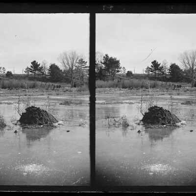 Stereoview of Dennysville, Maine | John Parris Sheahan