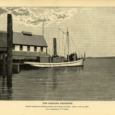 The Sardine Industry. Plate 136 | From a photograph by T.W. Smillie