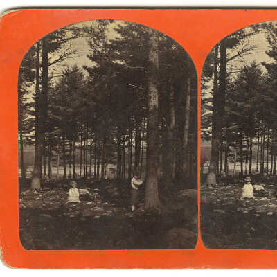 Cherryfield, Maine | Lycurgus Wasgatt