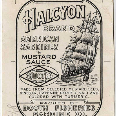 Halcyon Brand | American Sardines in Mustard Sauce