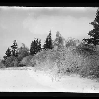 Dennysville, Maine | John Parris Sheahan