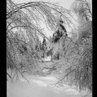 Dennysville, Maine | John Parris Sheahan