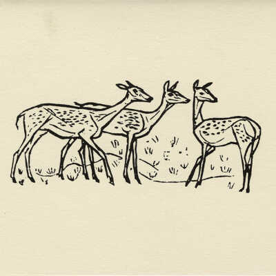 Deer (Christmas Card) | Felix Hoffmann