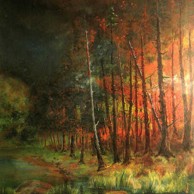 Forest Fire | William Bramman