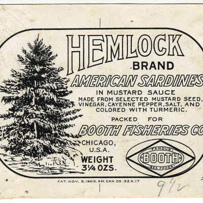 Hemlock Brand | American Sardines in Mustard Sauce