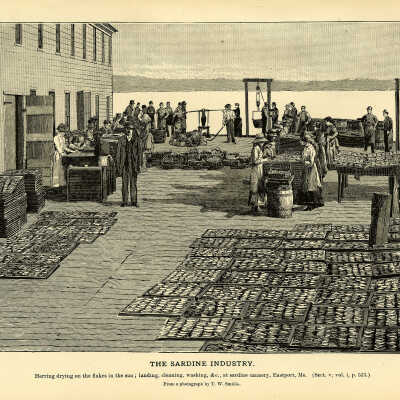 The Sardine Industry. Plate 140 | From a photograph by T.W. Smillie