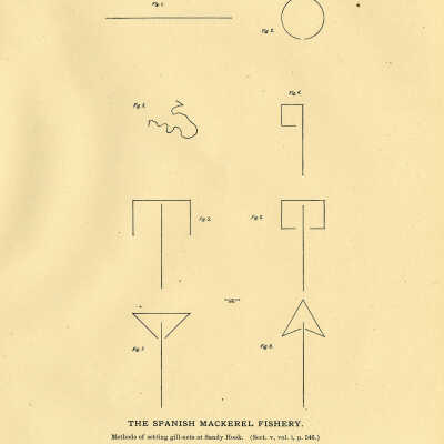 The Spanish Mackerel Fishery. Plate 147 | From Report U.S. Fish Commission, Part VIII