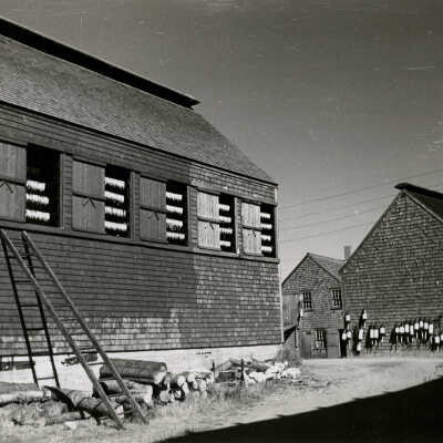 Smoke Houses in Operation, Seal Cove | George Daniell