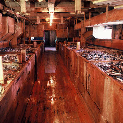 McCurdy Smokehouse | Frank Van Riper