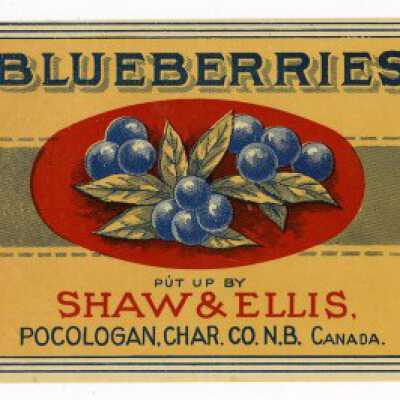Shaw & Ellis, Indian Chief Brand Blueberries Label | [No Artist Defined]