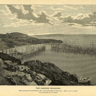 The Sardine Industry. Plate 128 | From a photograph by T.W. Smillie